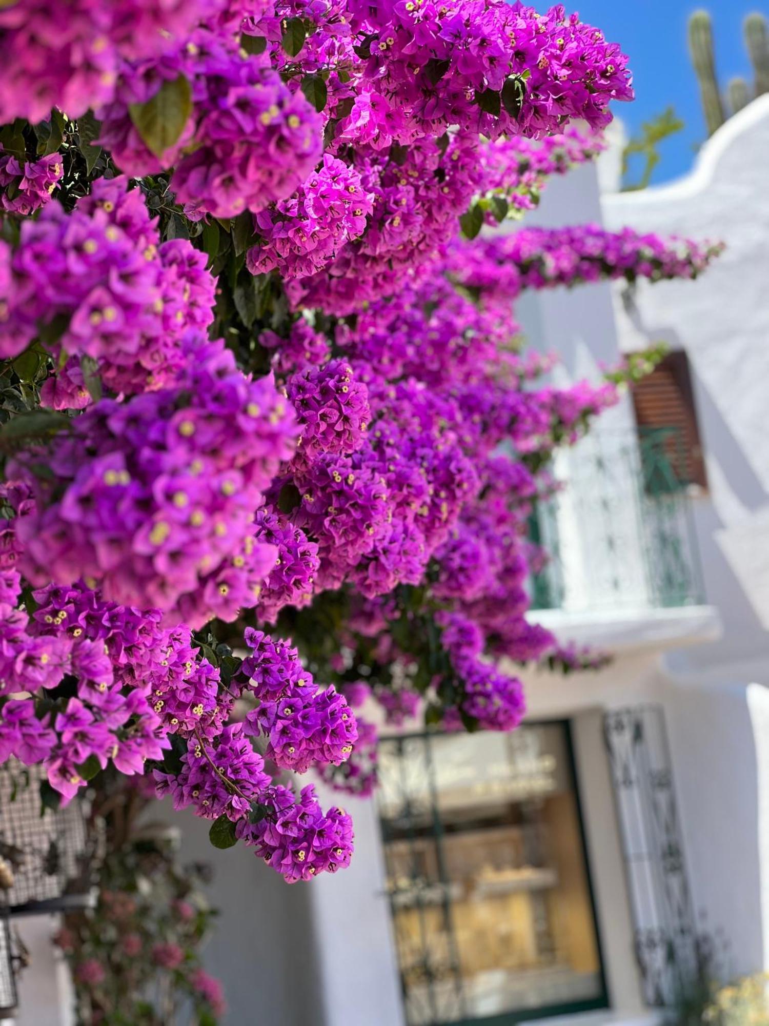 Boutique Hotel Solaz Porto Rafael Exterior photo